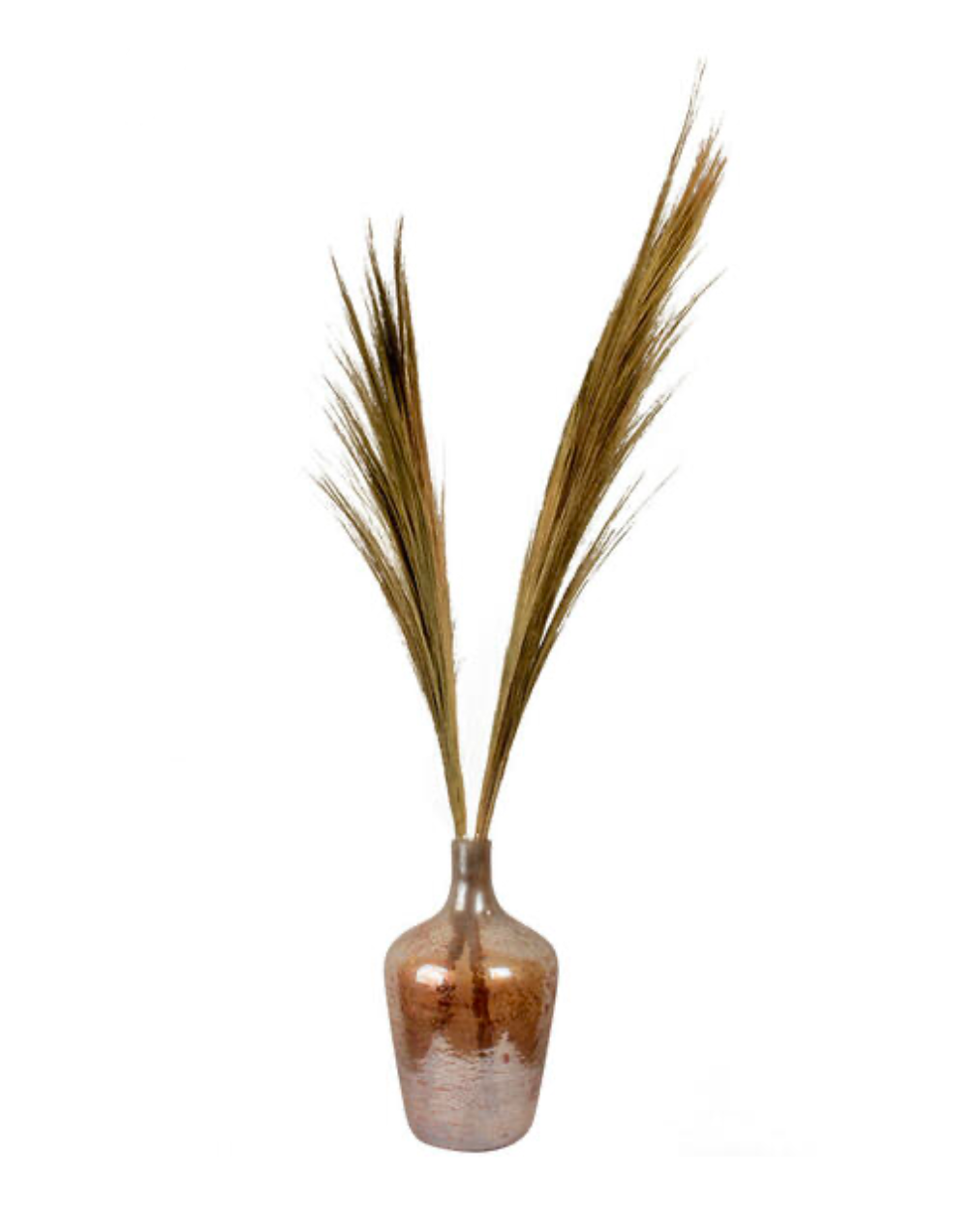 Hay plume small 120