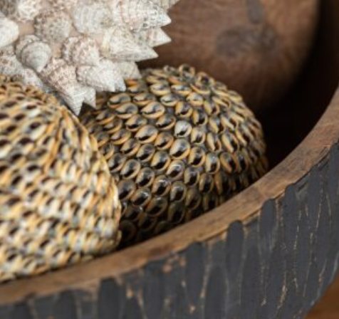 Decorative shell ball