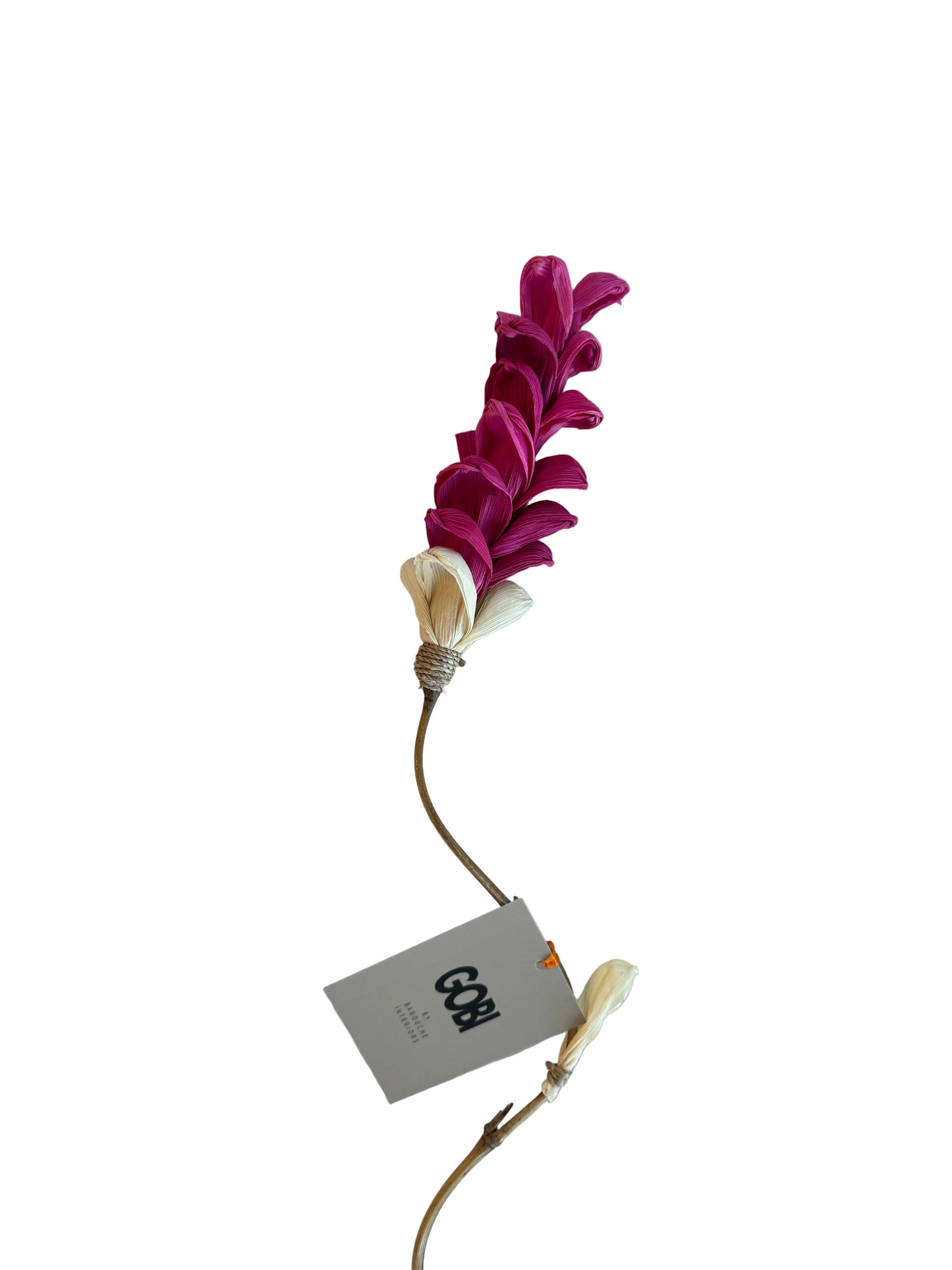 Pink Plume L