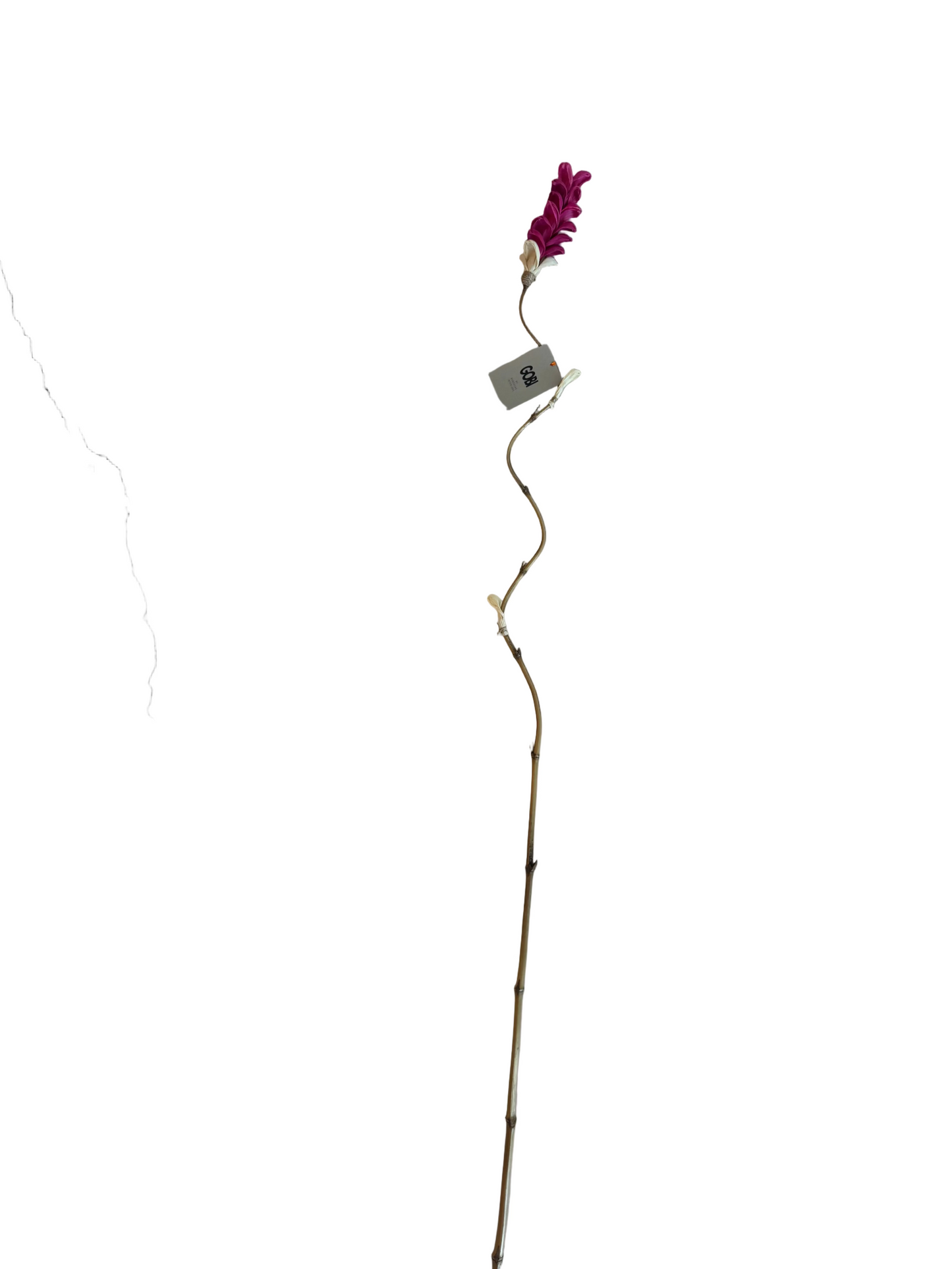 Pink Plume L
