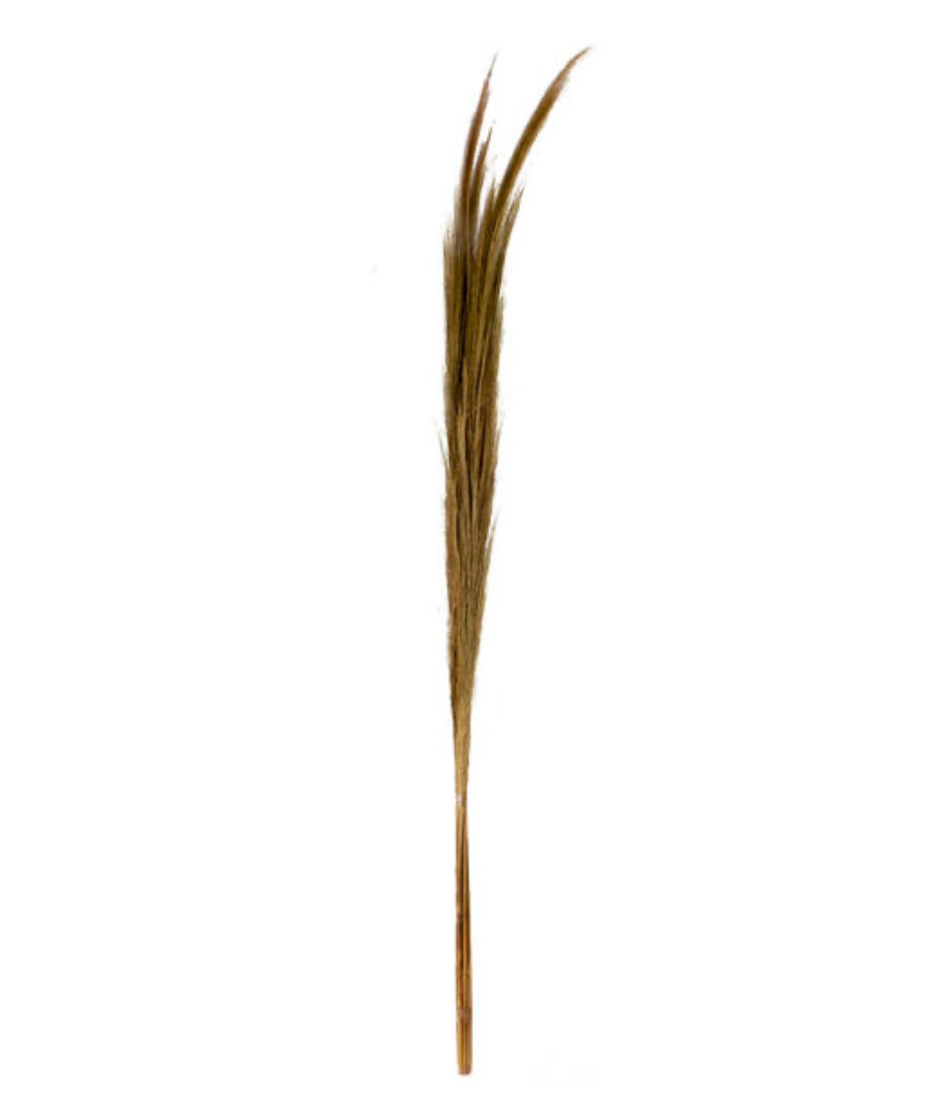 Hay plume small 120