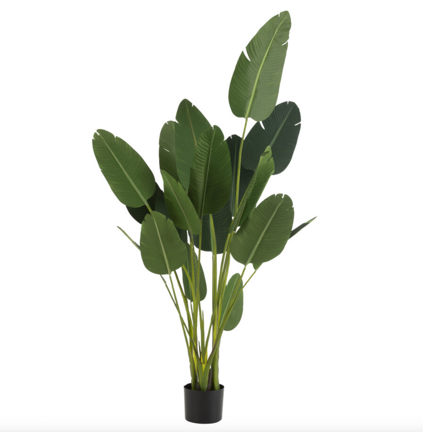 Artificial Strelitzia plant XL | 238 cm